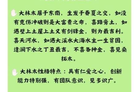 揭秘命理：什么命与大驿土命最合？