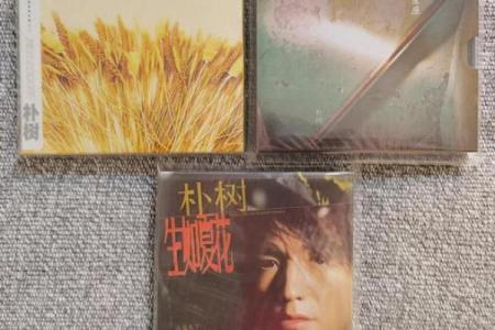 任贤齐的五行命理解析：从音乐到人生的智慧之旅