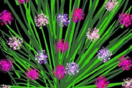 男人双飞蝴蝶命：探索人生中独特的寓意与影响