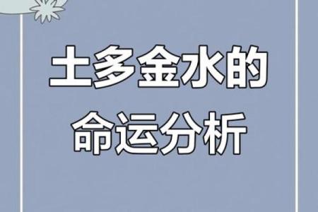 解读命理：探究旺水命人的独特魅力与人生之路