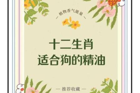 属狗男水命与适合养的植物选择指南