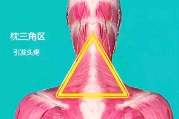 男人为何有三把火？揭秘背后的秘密与哲学