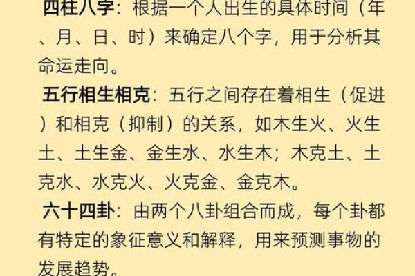 壬申日主五行分析：探索命理的奥秘与人生的选择