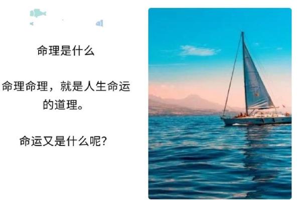 揭开命理学的神秘面纱:从命格看学习之路 揭开命理学的神秘面纱:从命格看学习之路