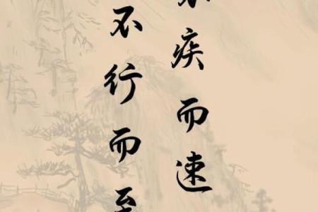 命短命长：揭示成语背后的智慧与人生哲学