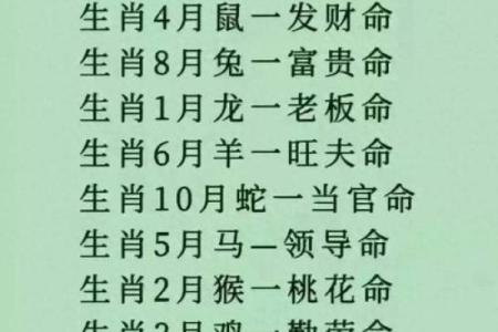 农历四月出生的人命运解析：探索你的性格与未来之路