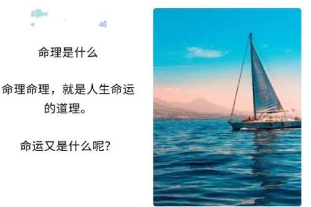 揭开命理学的神秘面纱：从命格看学习之路
