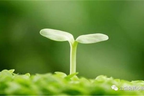 解密男生水命:内心的敏感与外在的力量 解密男生水命:内心的敏感与外在的力量