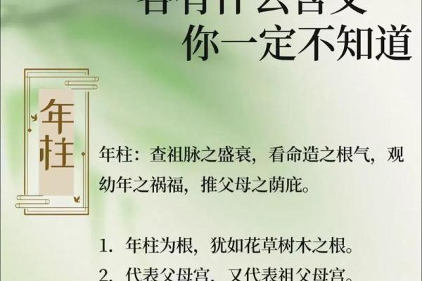 揭秘4震命:东四命的奥秘与人生智慧 揭秘4震命:东四命的奥秘与人生智慧