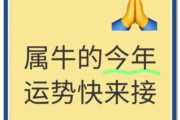 2009年属牛人的命运解析:与众不同的智慧与力量之旅 2009年属牛人的命运解析:与众不同的智慧与力量之旅