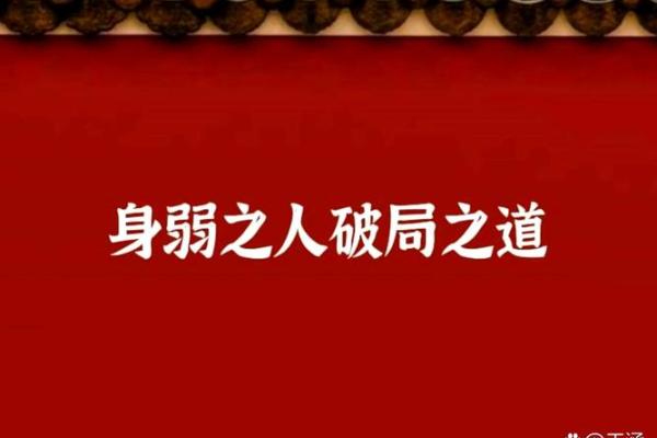 人强命不强:理解生命的脆弱与力量 人强命不强:理解生命的脆弱与力量