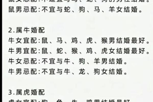 1996年属鼠的命理解析：探索你的命运之路