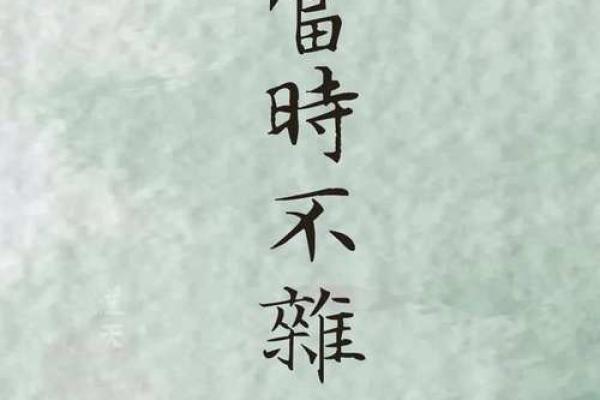 逆天改命的颜色象征与人生态度的深意探究