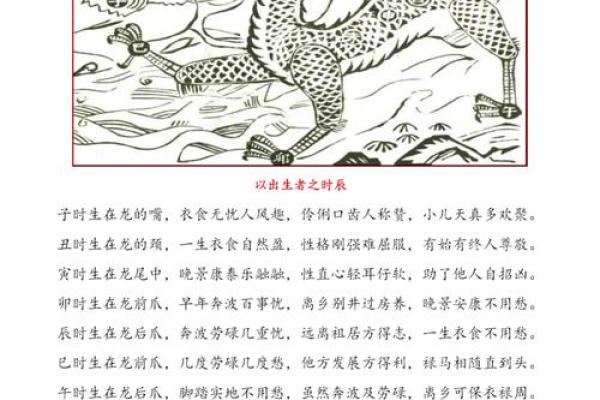 属龙者的命运解析：不同年岁龙的命理与运势探究