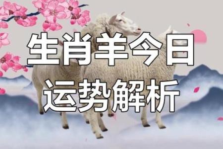 属羊人的2014年命运解密：事业与爱情双丰收之年