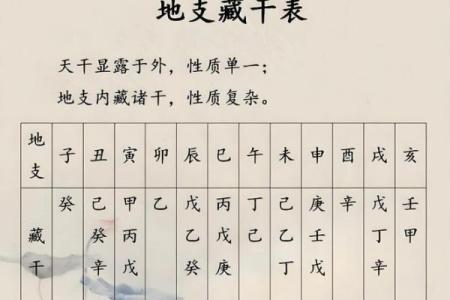 31岁男子属什么命？揭开八字背后的神秘面纱！