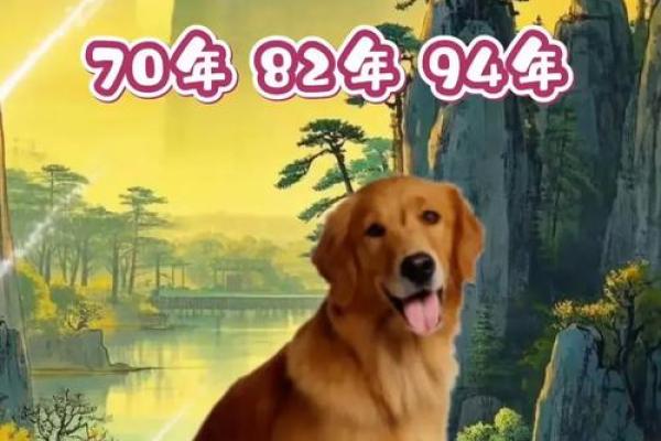 属狗的人生密码:什么命与属狗相辅相成? 属狗的人生密码:什么命与属狗相辅相成?