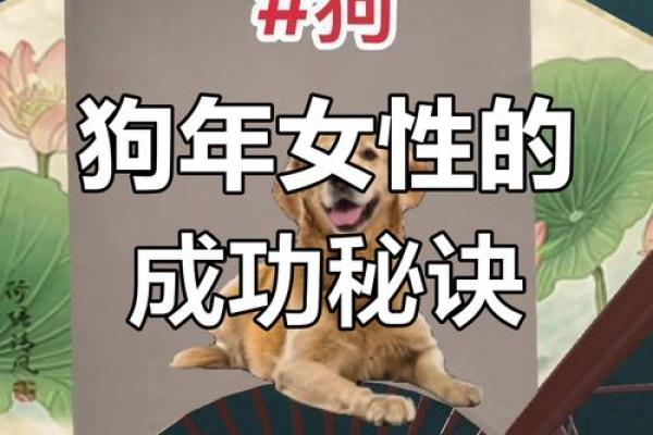 属狗的人生密码:什么命与属狗相辅相成? 属狗的人生密码:什么命与属狗相辅相成?