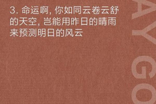 命运的旅程：四字词语背后的深意与启示