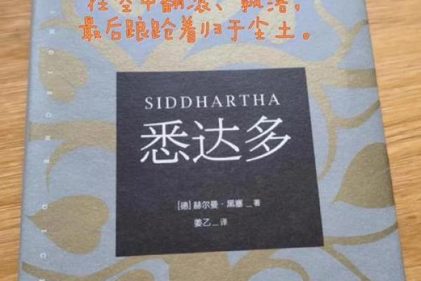 女孩五斤九两命运解析：探索生命的奥秘与价值