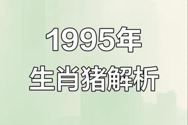 1996年1月出生的猪年宝宝:性格、命运与人生轨迹探秘 1996年1月出生的猪年宝宝:性格、命运与人生轨迹探秘