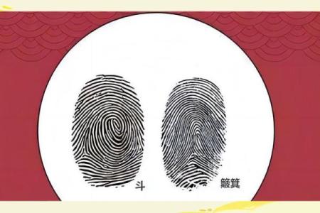 三斗七簸箕的命运揭秘：探寻命理背后的智慧与哲理