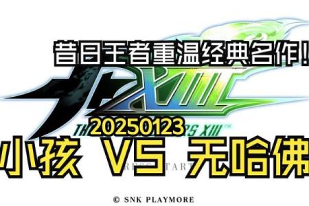 拳皇三十条命：探索游戏背后的文化与精神意义