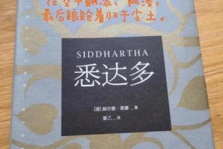 女孩五斤九两命运解析：探索生命的奥秘与价值