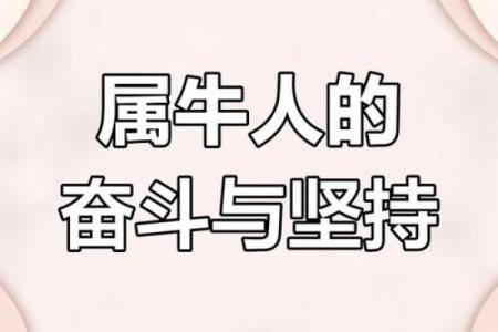 属牛的人最不怕的命：平稳与坚定的力量
