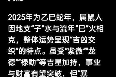 2019年属鼠人的命格解析：揭开命运的神秘面纱