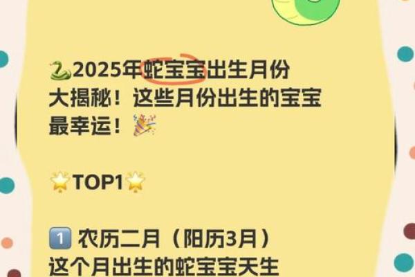 农历二月二出生的人：命里藏着的秘密与未来的可能性