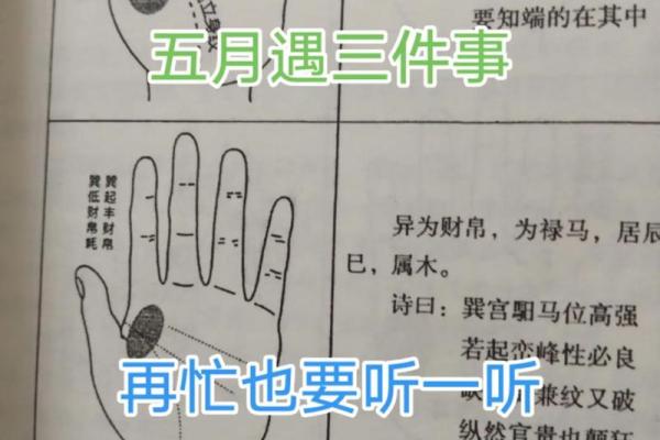 属猴1980年命理解析:一生多彩的命运与挑战 属猴1980年命理解析:一生多彩的命运与挑战