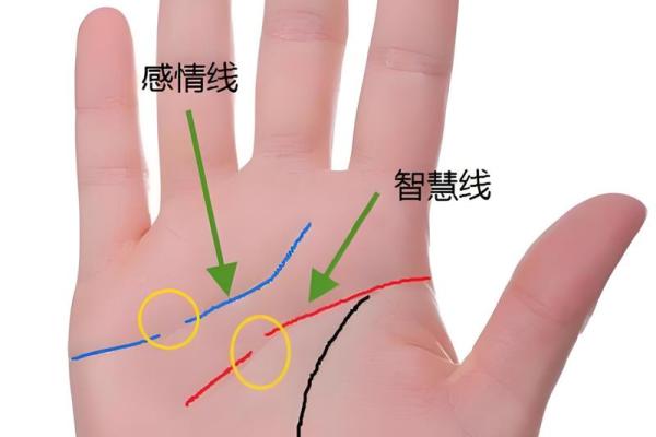 揭秘女人手相:三条线揭示你的命运与性格 揭秘女人手相:三条线揭示你的命运与性格