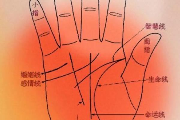 揭秘女人手相:三条线揭示你的命运与性格 揭秘女人手相:三条线揭示你的命运与性格