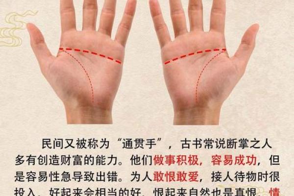 揭秘:哪些手相特征注定无儿子命?揭开命理奥秘的神秘面纱! 揭秘:哪些手相特征注定无儿子命?揭开命理奥秘的神秘面纱!