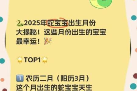 农历二月二出生的人：命里藏着的秘密与未来的可能性