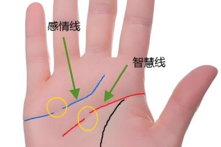 揭秘女人手相：三条线揭示你的命运与性格