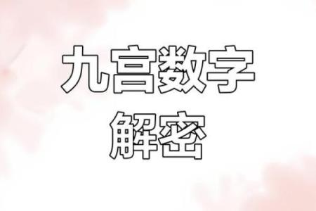 男命2两9是什么命：探索命理的奥秘与智慧