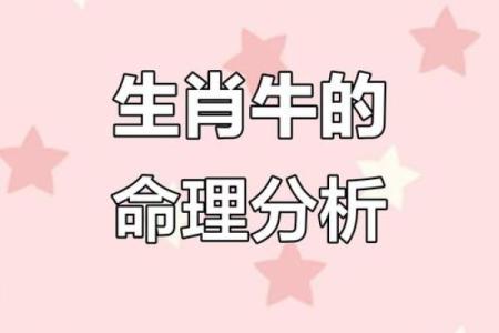 属牛5量命解析：了解你的命格与人生旅程