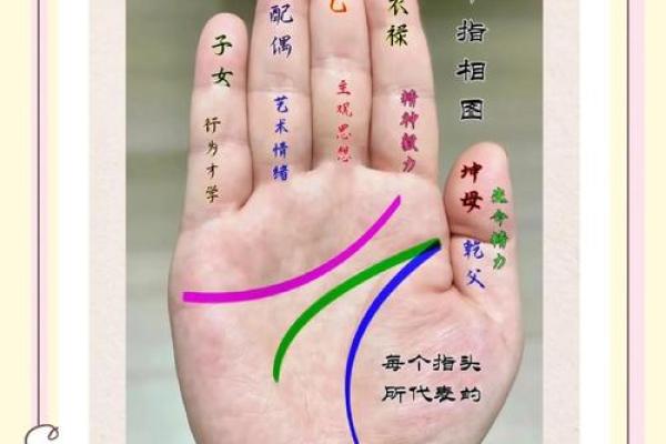 揭秘手相:识别小三命的三大特征与解析 揭秘手相:识别小三命的三大特征与解析