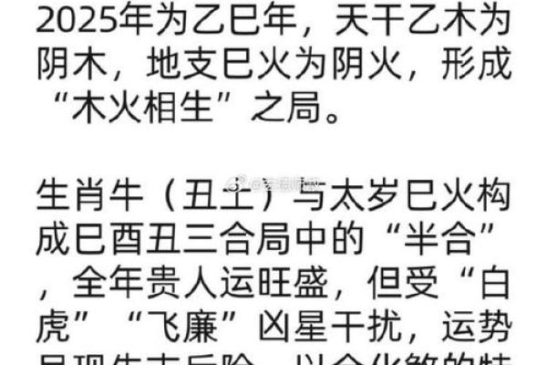 生肖牛晚上十点多出生的人命运解析与影响 生肖牛晚上十点多出生的人命运解析与影响