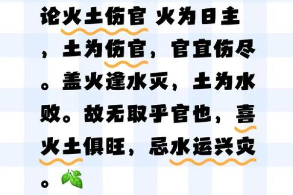 深入探寻屋中土命与城中土命的独特之处 深入探寻屋中土命与城中土命的独特之处