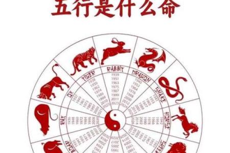 生肖牛晚上十点多出生的人命运解析与影响