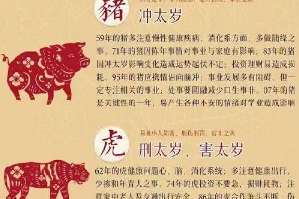 2023年属虎人的小人属相分析与应对策略