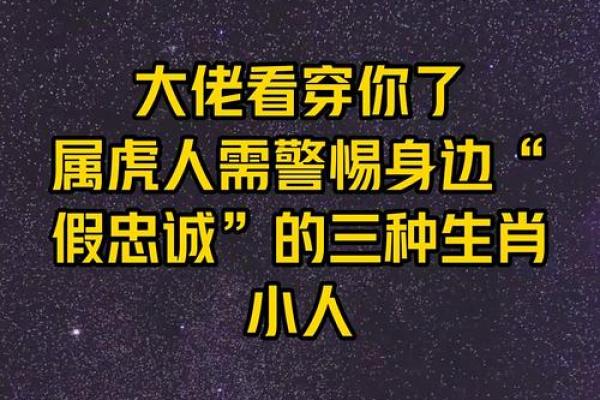 2023年属虎人的小人属相分析与应对策略