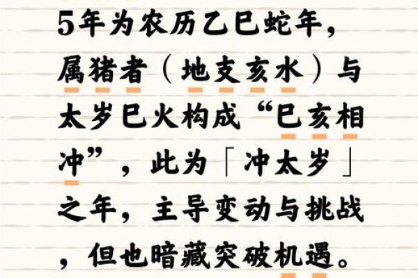 属猪的山头火命:助运之道与生活的和谐之美 属猪的山头火命:助运之道与生活的和谐之美