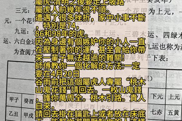 98年属虎的命运解析：勇猛与智慧并存的独特人生