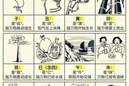 了解五行之谜：如何查找女性命格的五行属相