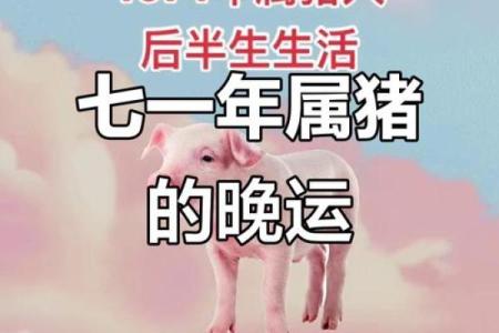 属猪的山头火命：助运之道与生活的和谐之美