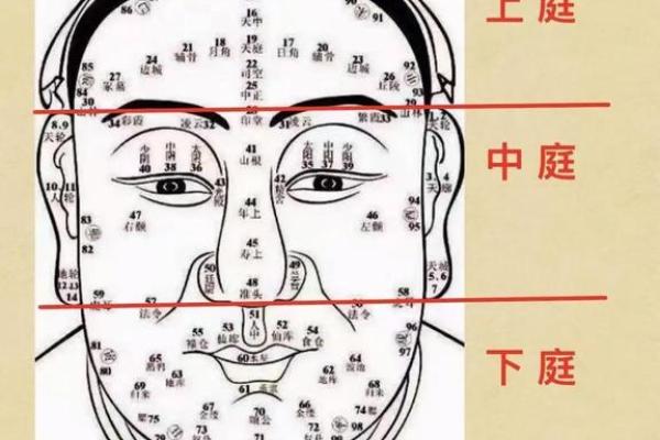 面相分析:如何辨识适合做老板的人才 面相分析:如何辨识适合做老板的人才